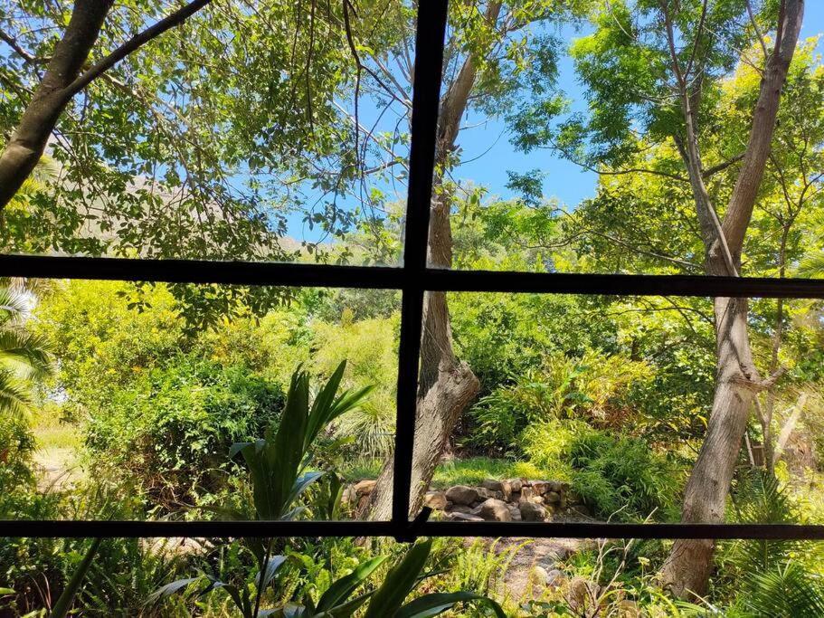 Zencapetown Forest Retreat * Le Cap