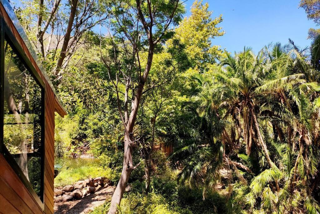 Zencapetown Forest Retreat * Le Cap