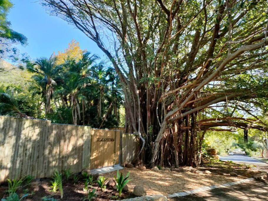 Zencapetown Forest Retreat Chalet Le Cap