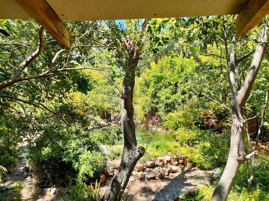Zencapetown Forest Retreat Chalet *