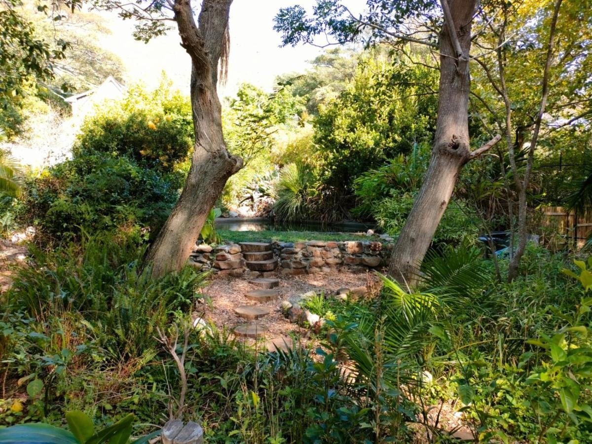 Zencapetown Forest Retreat Chalet Le Cap
